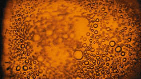 Glitch Background Mobile